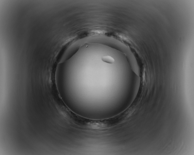 X0000087370512200704201230