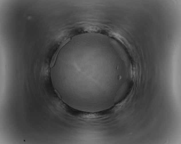 X0000087370513200704201230