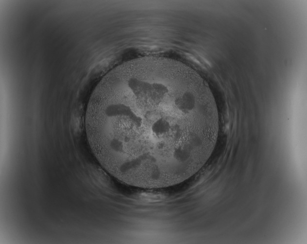 X0000087370515200704201230
