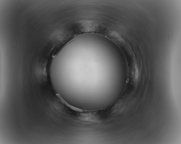 X0000087370516200704201230