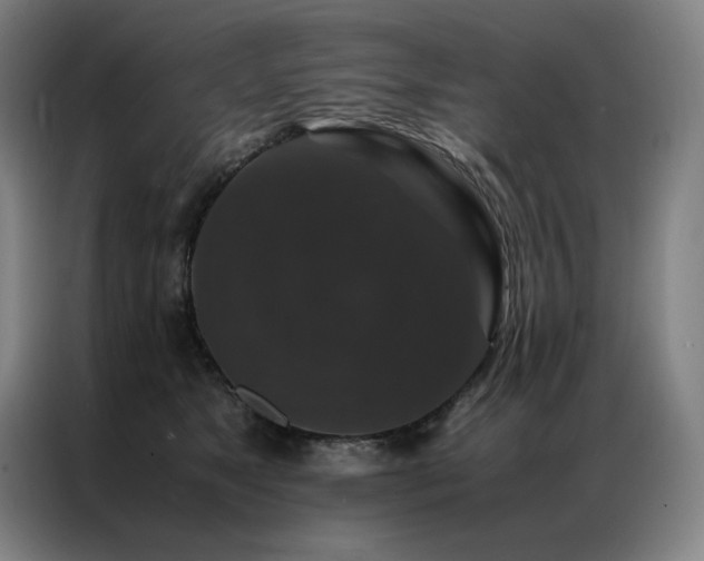 X0000087370517200704201230