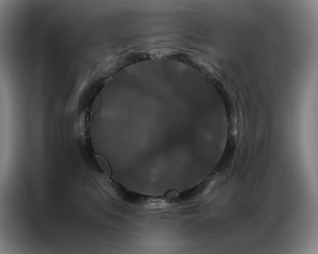X0000087370519200704201230