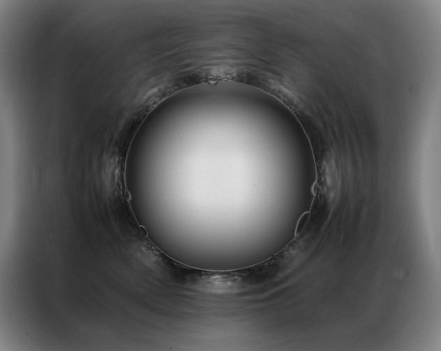 X0000087370522200704201230