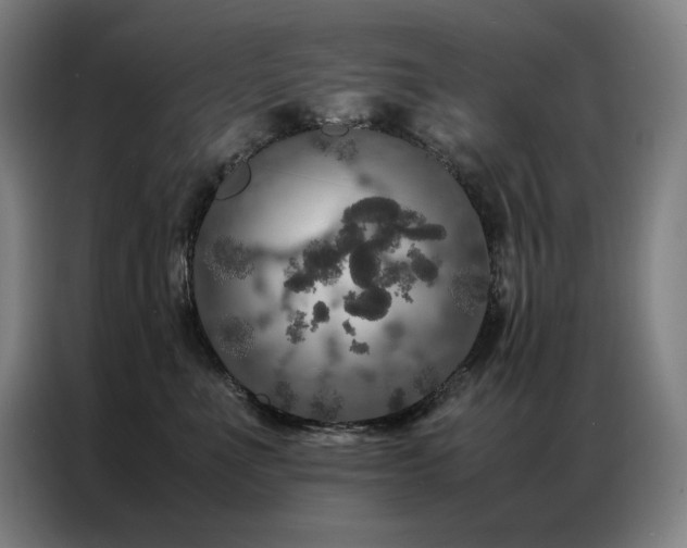 X0000087370523200704201230