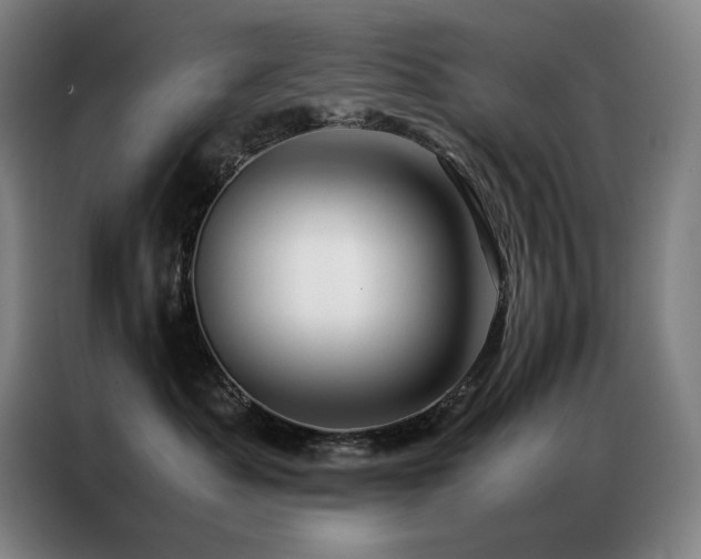 X0000087370525200704201230