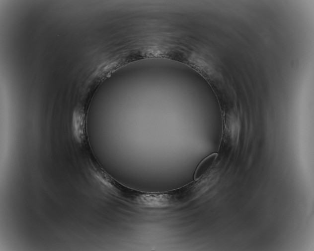 X0000087370526200704201230