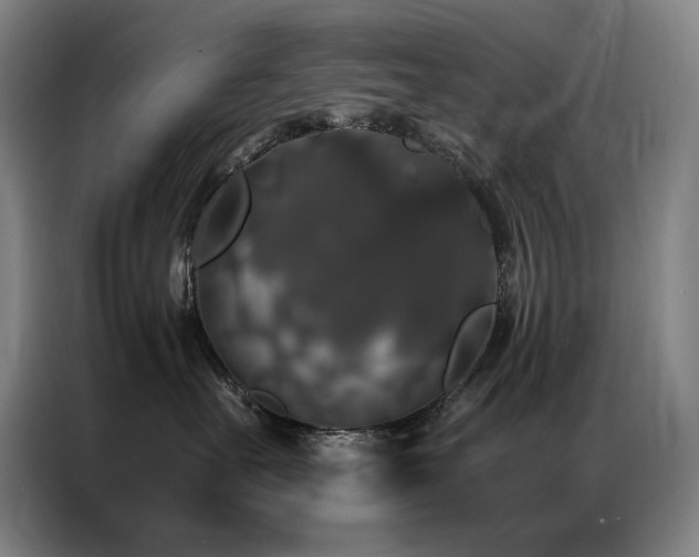 X0000087370527200704201230