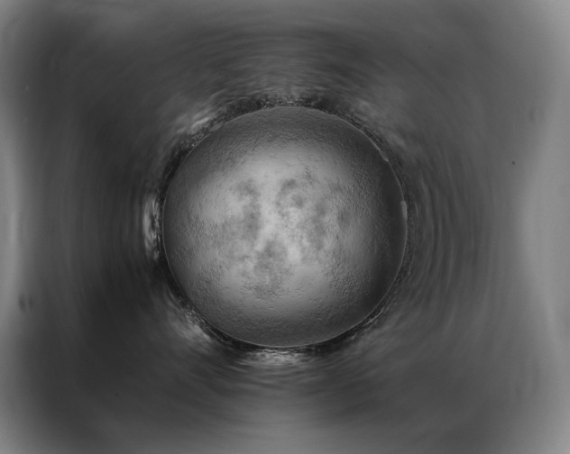 X0000087370528200704201230