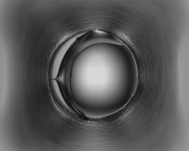 X0000087370530200704201229