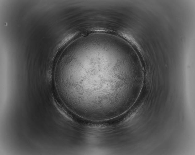 X0000087370533200704201229