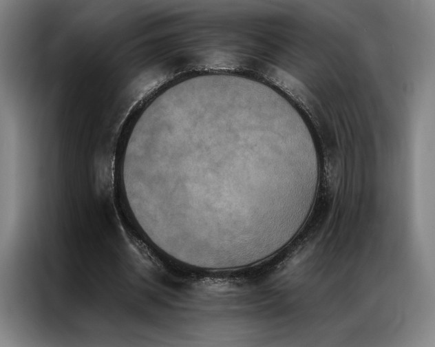 X0000087370534200704201229