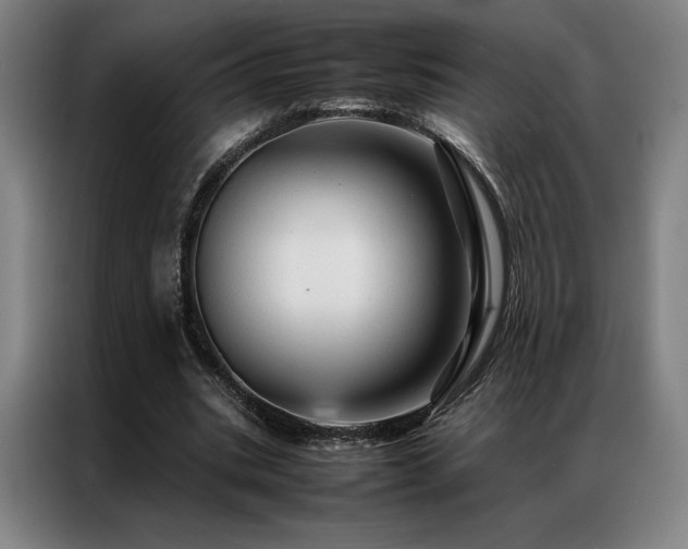X0000087370535200704201229