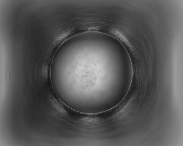 X0000087370537200704201229