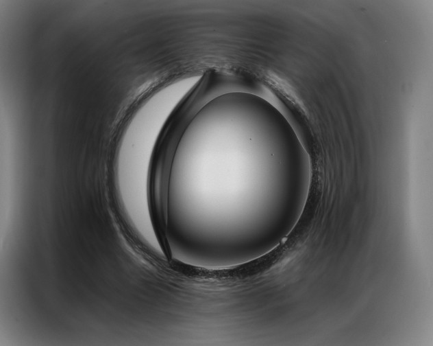 X0000087370538200704201229