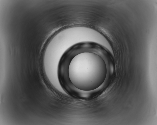 X0000087370540200704201229