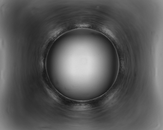 X0000087370541200704201229