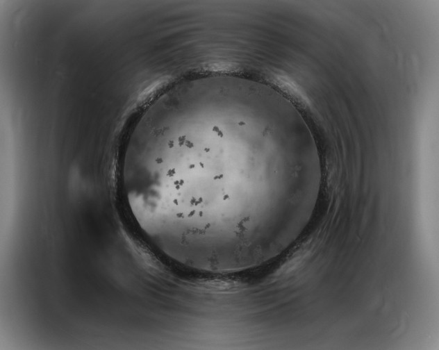 X0000087370542200704201229
