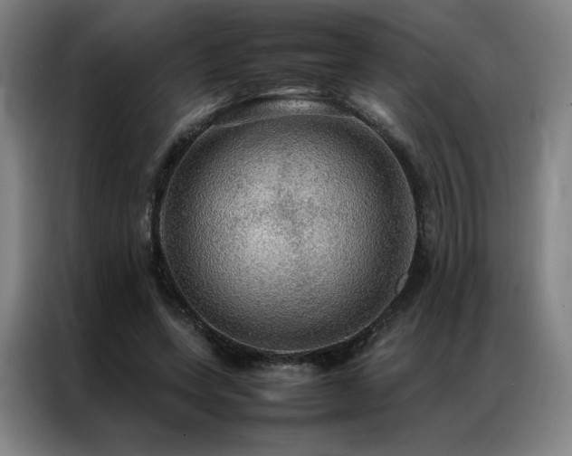 X0000087370543200704201229