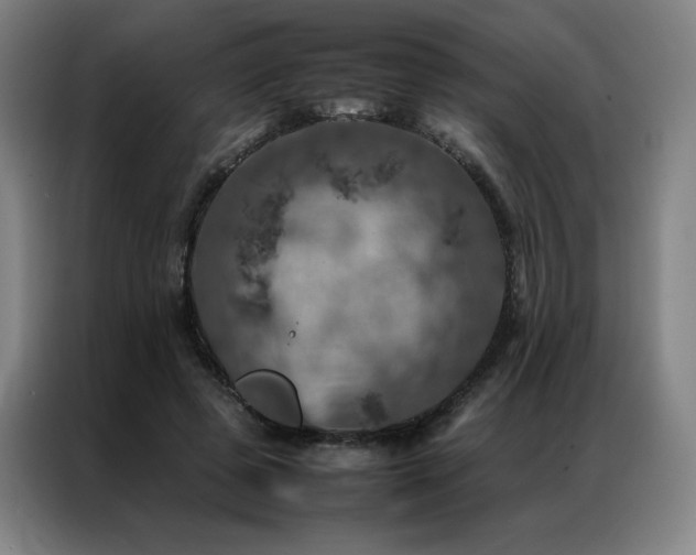 X0000087370545200704201229