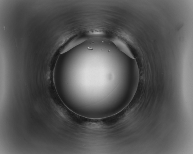 X0000087370548200704201229