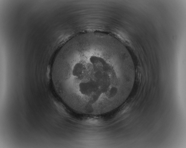 X0000087370550200704201229