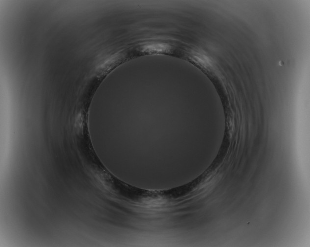 X0000087370551200704201230