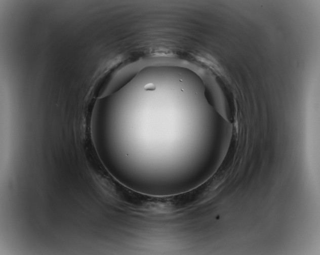 X0000087370552200704201230