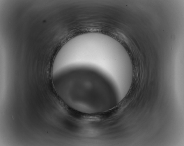 X0000087370553200704201230