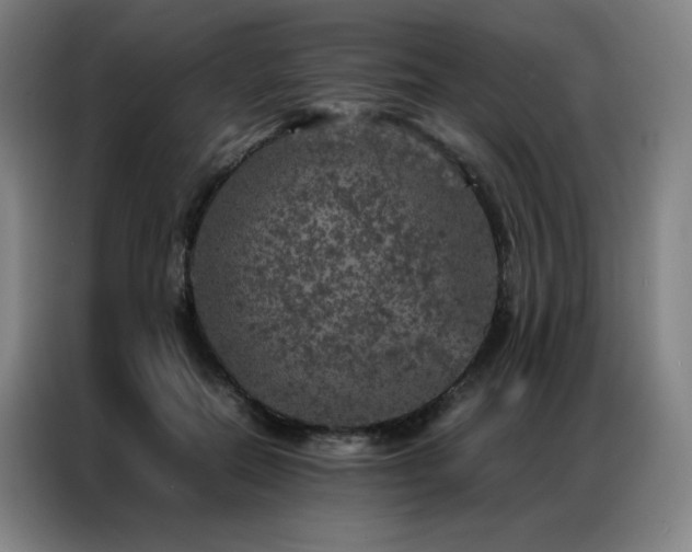 X0000087370554200704201230