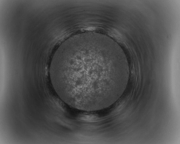 X0000087370555200704201230