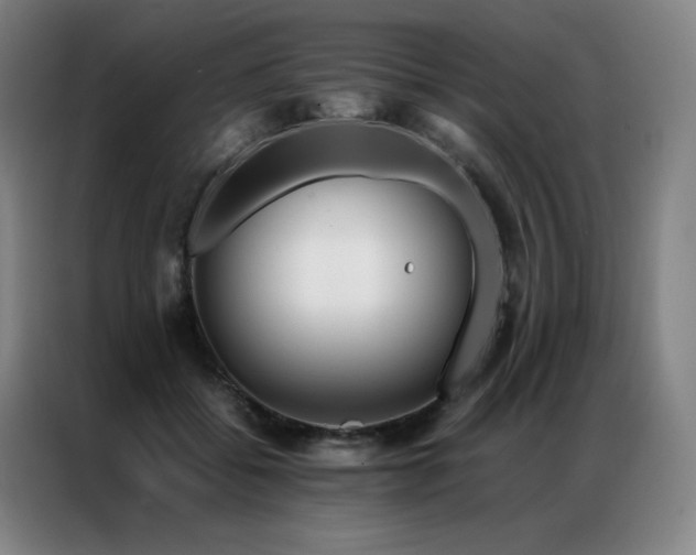 X0000087370556200704201230