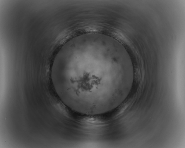 X0000087370557200704201230