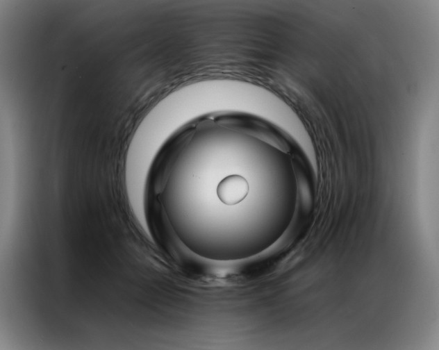 X0000087370558200704201230