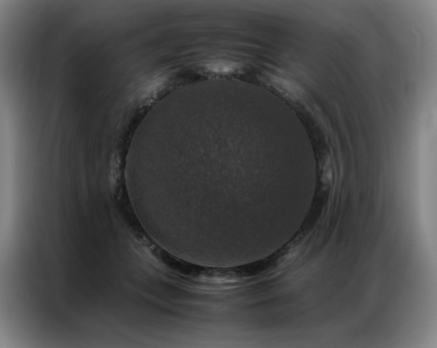 X0000087370559200704201230