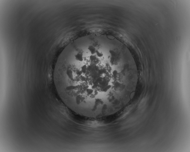 X0000087370561200704201230
