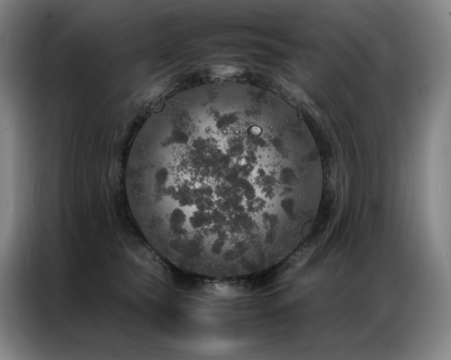 X0000087370565200704201230