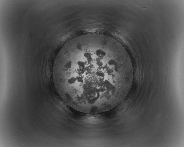 X0000087370569200704201230