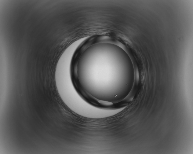 X0000087370570200704201230