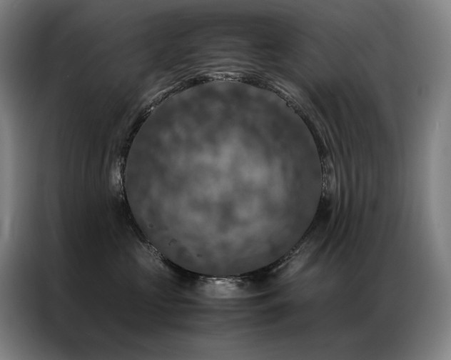 X0000087370573200704201230