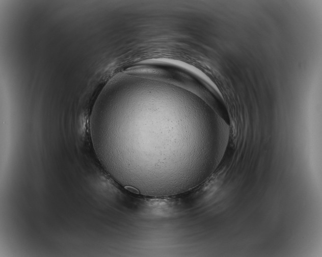 X0000087370574200704201230