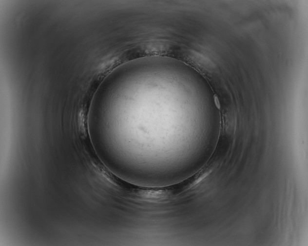 X0000087370575200704201230