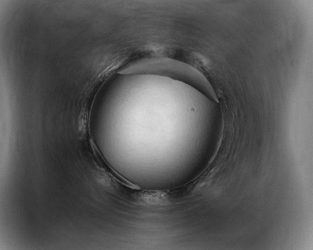 X0000087370576200704201230