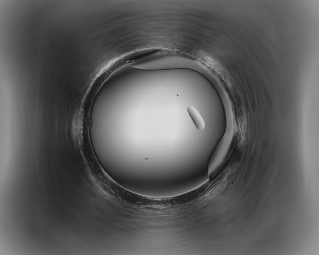 X0000087370580200704201229