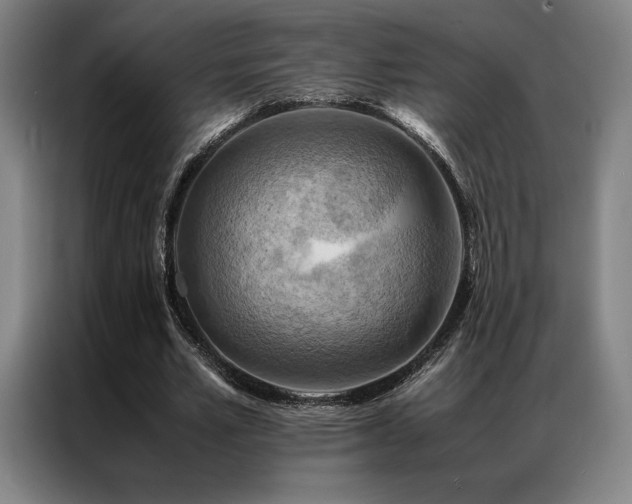 X0000087370581200704201229