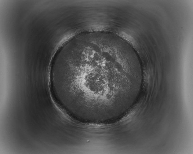 X0000087370582200704201229