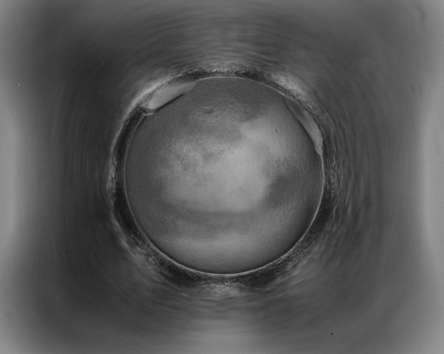 X0000087370583200704201229