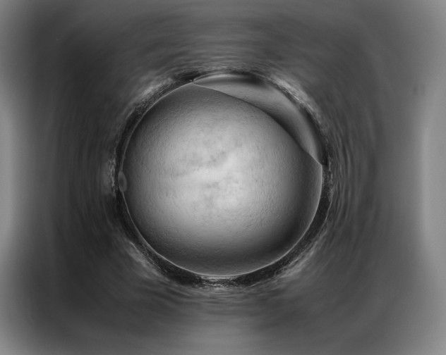 X0000087370585200704201229