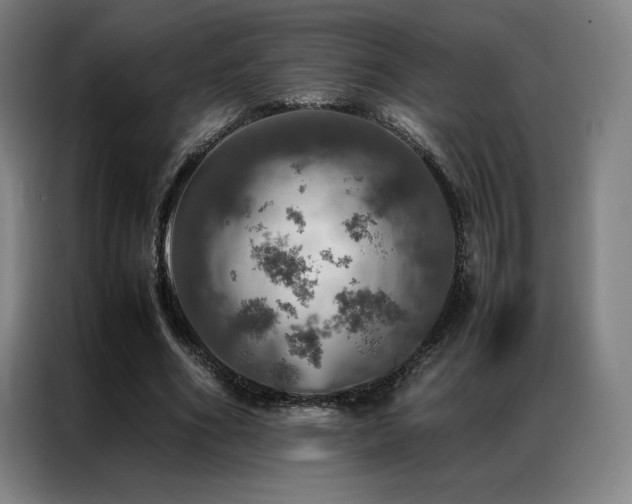 X0000087370586200704201229