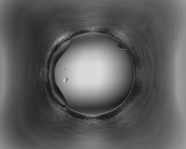 X0000087370587200704201229