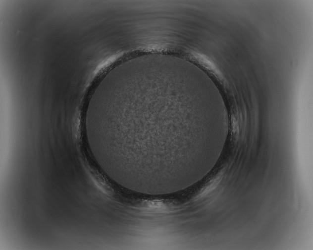 X0000087370588200704201229
